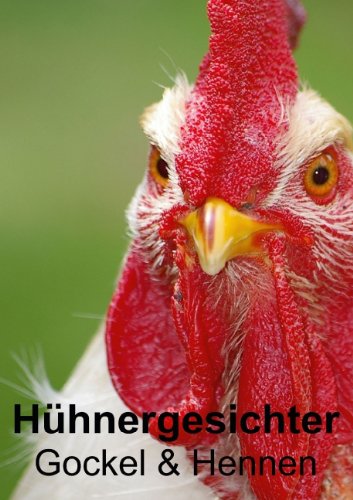 Hühnergesichter • Gockel & Hennen (Posterbuch DIN A4 hoch): Gefiederte Haustiere die Freude machen (Posterbuch, 14 Seiten) (CALVENDO Tiere) Stanzer, Elisabeth Living & Furnishing