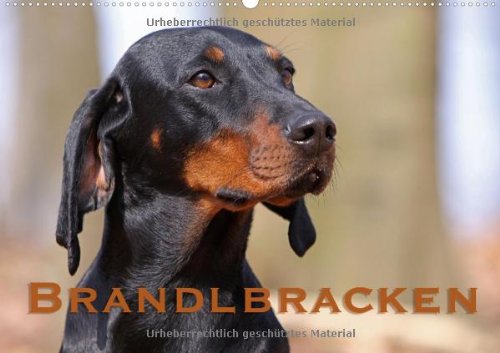 Brandlbracken at Version Wandkalende book