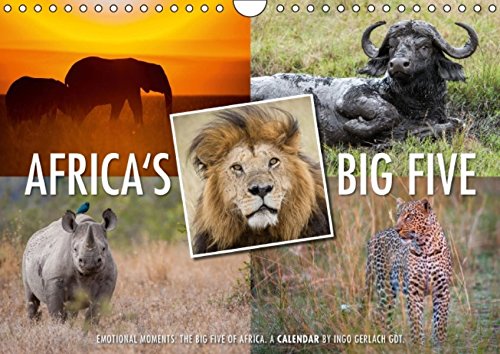 Emotional Moments: Africa's Big Five / UK-Version (Wall Calendar 2014 DIN A4 Landscape): The dream of every safari tourists is to get the Big Five, ... front of the lens. (Month Calendar, 14 pages) Leisure, Home & Garden
