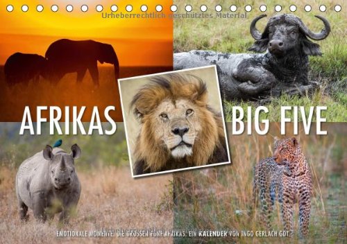 Emotionale Momente: Afrikas Big Five / CH-Version (Tischkalender 2014 DIN A5 quer): Der Traum eines jeden Safaritouristen ist es die Big Five, also ... Linse zu bekommen. (Tischkalender, 14 Seiten) Leisure, Home & Garden