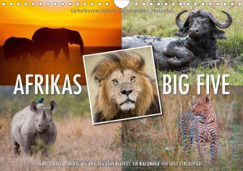 Emotionale Momente: Afrikas Big Five / CH-Version (Wandkalender 2014 DIN A4 quer): Der Traum eines jeden Safaritouristen ist es die Big Five, also ... zu bekommen. (Monatskalender, 14 Seiten) Leisure, Home & Garden