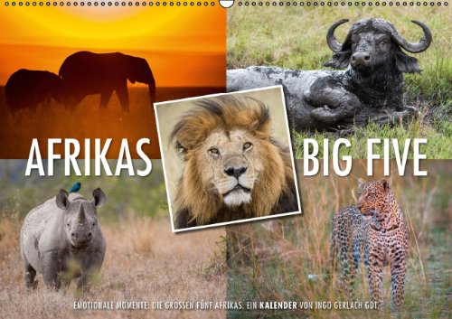 Emotionale Momente: Afrikas Big Five / CH-Version (Wandkalender 2014 DIN A2 quer): Der Traum eines jeden Safaritouristen ist es die Big Five, also ... zu bekommen. (Monatskalender, 14 Seiten) Leisure, Home & Garden