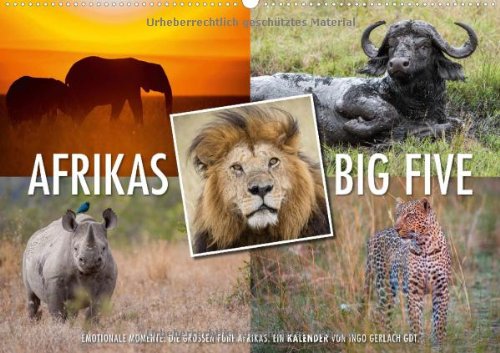 Emotionale Momente: Afrikas Big Five / AT-Version (Wandkalender 2014 DIN A2 quer): Der Traum eines jeden Safaritouristen ist es die Big Five, also ... zu bekommen. (Monatskalender, 14 Seiten) Leisure, Home & Garden