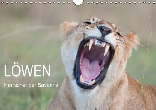 Löwen - Herrscher der Savanne (Wandkalender 2014 DIN A4 quer): Fasziniernde Aufnahmen der majestätischen Raubkatzen - auch als verspielte Löwenkinder (Monatskalender, 14 Seiten) Living & Furnishing
