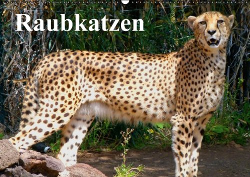 Raubkatzen (Wandkalender 2014 DIN A2 quer): Geschmeidige Eleganz und Kraft auf samtigen Pfoten (Monatskalender, 14 Seiten) Living & Furnishing