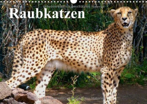Raubkatzen (Wandkalender 2014 DIN A3 quer): Geschmeidige Eleganz und Kraft auf samtigen Pfoten (Monatskalender, 14 Seiten) Living & Furnishing