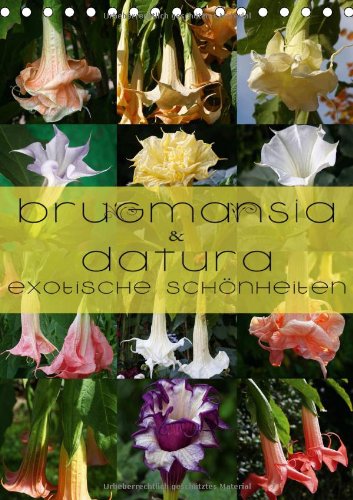 Brugmansia & Datura - Exotische Schönheiten (Tischkalender 2014 DIN A5 hoch): Brugmansia & Datura - Exotische Kübelpflanzen Schönheiten im Protrait (Tischkalender, 14 Seiten) Leisure, Home & Garden