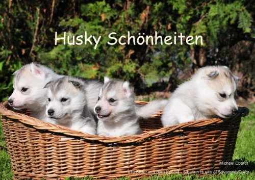 Husky Schönheiten (Posterbuch DIN A2 quer): Der Husky in einer seiner schönsten Typart und Farbe. (Posterbuch, 14 Seiten) (CALVENDO Tiere) Ebardt, Michael Garden & Plants