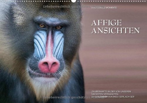 Emotionale Momente: Affige Ansichten / CH-Version (Wandkalender 2014 DIN A2 quer): Zauberhafte Bilder von unseren nächsten Verwandten. Ein Kalender von Ingo Gerlach GDT. (Monatskalender, 14 Seiten) Leisure, Home & Garden