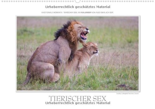 Emotionale Momente: Tierischer Sex. / CH-Version (Wandkalender 2014 DIN A2 quer): Ingo Gerlach GDT hat aus seinem riesigen Bilderfundus tolle Sexfotos ... tierphoto.de (Monatskalender, 14 Seiten) Leisure, Home & Garden