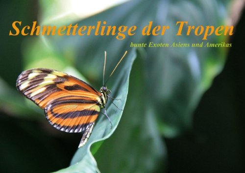 Schmetterlinge der Tropen (Tischaufsteller DIN A5 quer): Schmetterlinge der Tropen bieten eine große Vielfalt an Form, Farbe und Erscheinung. ... Thiem-Eberitsch, Jana Posters