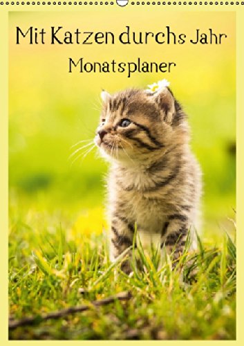 Mit Katzen durchs Jahr / Planer (Wandkalender 2015 DIN A2 hoch): Ein Terminplaner mit tollen Katzenmotiven (Monatskalender, 14 Seiten) Living & Furnishing