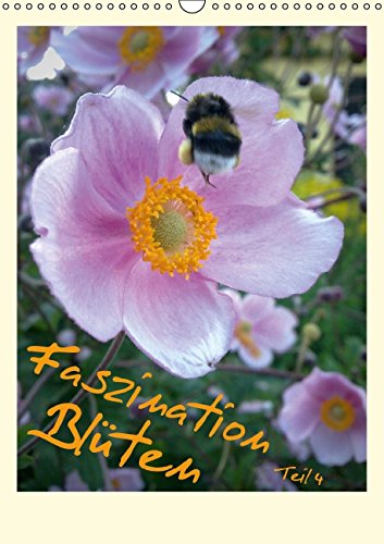 Faszination Blüten - Teil 4 (Wandkalender 2014 DIN A3 hoch): Blumen und Blüten aus unserer Heimat, voller Faszination von Natur, Farben und Formen. ... aus Erfurt. (Monatskalender, 14 Seiten) Film, Art & Culture