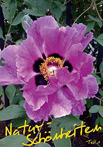 Natur-Schönheiten - Teil 1 (Posterbuch DIN A4 hoch): Blumen und Blüten aus unserer Heimat, voller Faszination von Natur, Farben und Formen. ... Malerin aus Erfurt. (Posterbuch, 14 Seiten) Photography