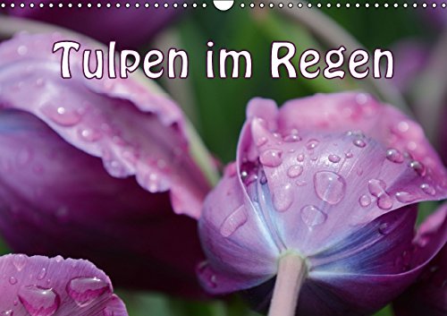Tulpen im Regen (Wandkalender 2015 DIN A3 quer): Tulpen im Regen - herrlich erfrischend und wunderschön (Monatskalender, 14 Seiten) Living & Furnishing