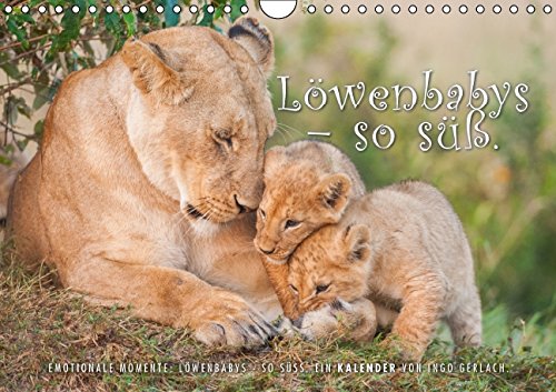 Emotionale Momente: Löwenbabys - so süß. (Wandkalender 2015 DIN A4 quer): Quirlige Löwenbabys in freier Wildbahn fotografiert, Bilder die besonders bezaubern. (Monatskalender, 14 Seiten) Leisure, Home & Garden