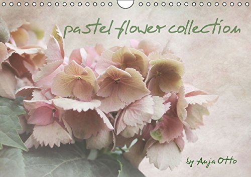 pastel flower collection (Wandkalender 2015 DIN A4 quer): Blütenin sanften Farben. (Monatskalender, 14 Seiten) Film, Art & Culture