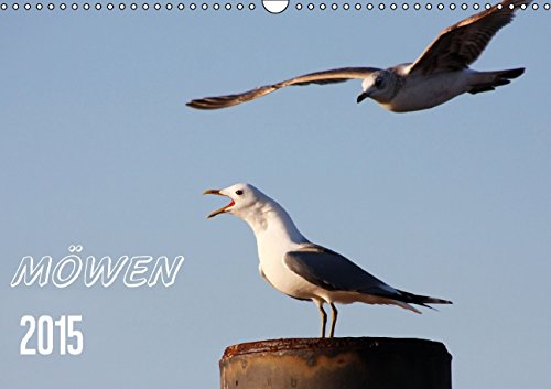 MÖWEN (Wandkalender 2015 DIN A3 quer): Bodenbrüter (Monatskalender, 14 Seiten) Natural Sciences