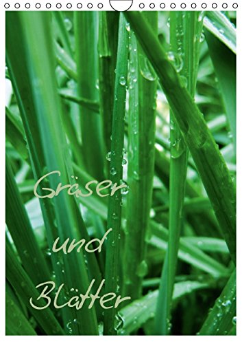 Gräser und Blätter (Wandkalender 2015 DIN A4 hoch): Grüne Impressionen (Monatskalender, 14 Seiten) Film, Art & Culture