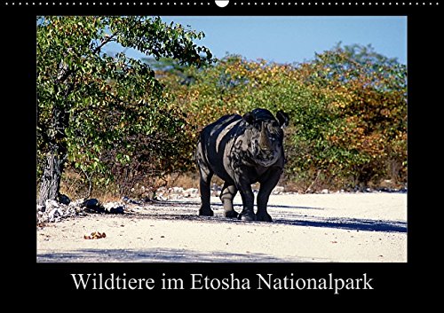 Wildtiere im Etosha Nationalpark (Wandkalender 2015 DIN A2 quer): Sammelpunkt Wasserloch (Monatskalender, 14 Seiten) Leisure, Home & Garden