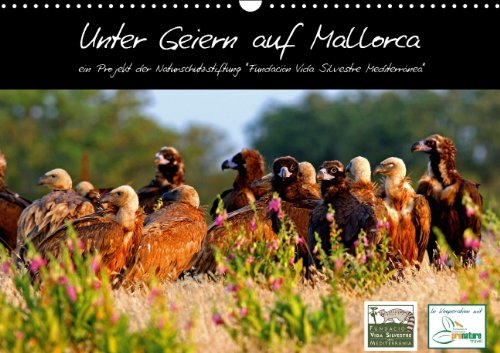 Unter Geiern auf Mallorca: Ein Projekt der Naturschutzstiftung Vida Silvestre Mediterránea (Wandkalender 2015 DIN A3 quer): Dreizehn packende ... Mallorcas. (Monatskalender, 14 Seiten) Natural Sciences