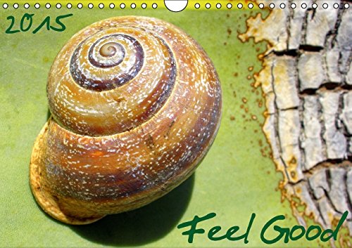 Feel Good (Wandkalender 2015 DIN A4 quer): Entspannung pur gegen den hektischen Alltag (Monatskalender, 14 Seiten) Medicine