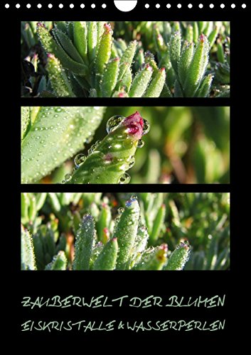 ZAUBERWELT DER BLUMEN - EISKRISTALLE & WASSERPERLEN (Wandkalender 2015 DIN A4 hoch): Makroaufnahmen exotischer Pflanzen mit Eiskristallen und Wasserperlen (Monatskalender, 14 Seiten) Photography
