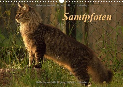 Samtpfoten (Wandkalender 2015 DIN A3 quer): Mit dem Hund ist die Katze das beliebteste Haustier der Menschen. (Monatskalender, 14 Seiten) Lifestyle