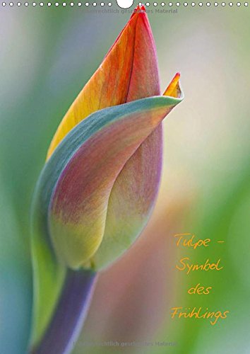 Tulpe - Symbol des Frühlings (Wandkalender 2015 DIN A3 hoch): Tulpenknospen und -kelche in ihrer schönsten Form (Monatskalender, 14 Seiten) Film, Art & Culture