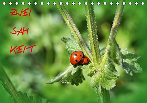 ZWEISAMKEIT (Tischkalender 2015 DIN A5 quer): Zweisamkeit - tierische Pärchen, beim turteln, streiten, lieben usw. (Tischkalender, 14 Seiten) Natural Sciences
