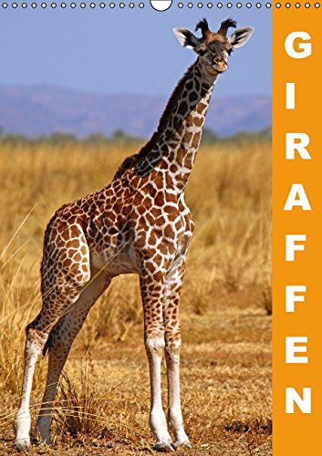 Giraffen - Afrikas Größen (Wandkalender 2015 DIN A3 hoch): Die Welt der höchsten landlebenden Tiere der Erde (Monatskalender, 14 Seiten) Leisure, Home & Garden