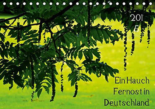 Ein Hauch Fernost in Deutschland (Tischkalender 2015 DIN A5 quer): Ein Moment der Stille in einem japanischen Garten (Monatskalender, 14 Seiten) (CALVENDO Natur) Leisure, Home & Garden