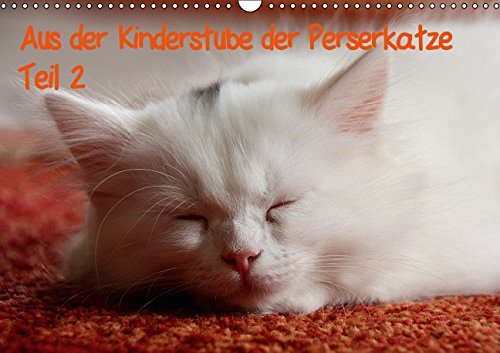 Aus der Kinderstube der Perserkatze Teil 2 (Wandkalender 2015 DIN A3 quer): Niedlich, knuddelig und total verschmust. Das ist die beliebte Perserkatze. (Monatskalender, 14 Seiten) Lifestyle