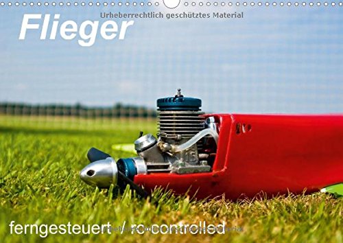 Flieger / ferngesteuert / rc-controlled (Wandkalender 2015 DIN A3 quer): Ferngesteuerte Flugeuge (Monatskalender, 14 Seiten) Natural Sciences