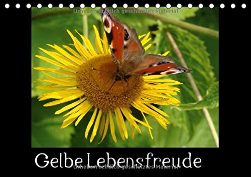 Gelbe Lebensfreude Tischkalender 2015 book