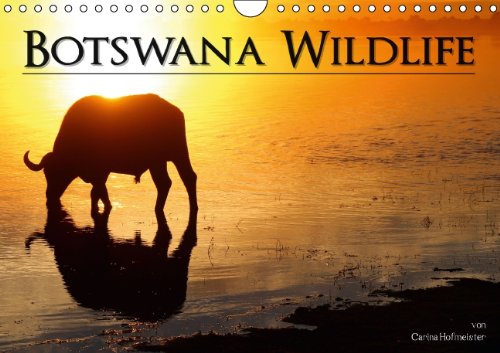 Botswana Wildlife (Wandkalender 2015 DIN A4 quer): Eine Reise in die beeindruckende Wildnis Botswanas (Monatskalender, 14 Seiten) Leisure, Home & Garden