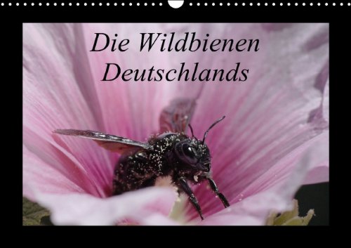 Die Wildbienen Deutschlands (Wandkalender 2015 DIN A3 quer): Fotografische Einblicke in das Leben von 12 verschiedenen einheimischen Wildbienen (Monatskalender, 14 Seiten) Natural Sciences