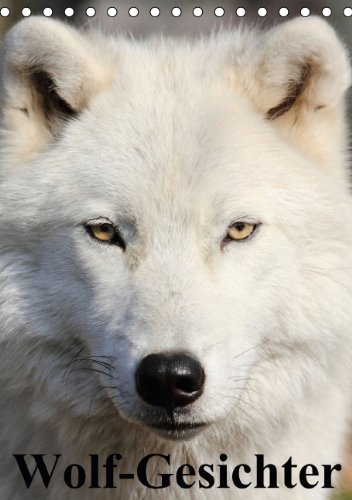 Wolf-Gesichter (Tischkalender 2015 DIN A5 hoch): Wölfe sind zum heulen schön! (Tischkalender, 14 Seiten) Living & Furnishing