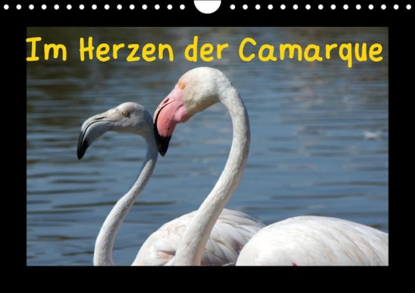 Im Herzen der Camargue (Wandkalender 2015 DIN A4 quer): Naturbeobachtungen im Mündungsdelta der Rhône (Monatskalender, 14 Seiten) (CALVENDO Natur) Leisure, Home & Garden
