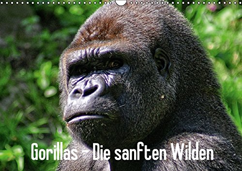 Gorillas - Die sanften Wilden (Wandkalender 2015 DIN A3 quer): Kein anderes Tier ähnelt uns so sehr wie der Gorilla. (Monatskalender, 14 Seiten) Natural Sciences