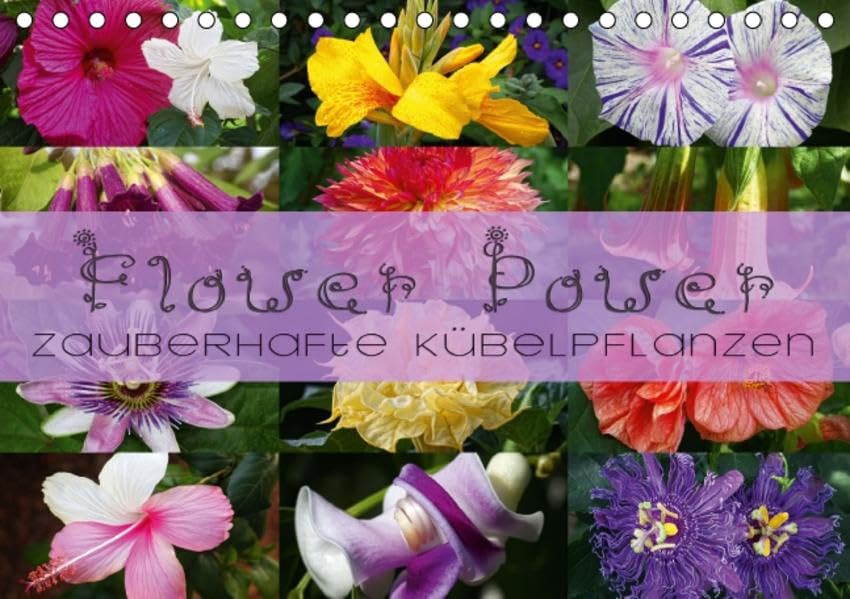 Flower Power - Zauberhafte Kübelpflanzen (Tischkalender 2015 DIN A5 quer): Erleben Sie 12 zauberhafte Kübelpflanzen in Ihrem Garten (Monatskalender, 14 Seiten) (CALVENDO Natur) Calendars