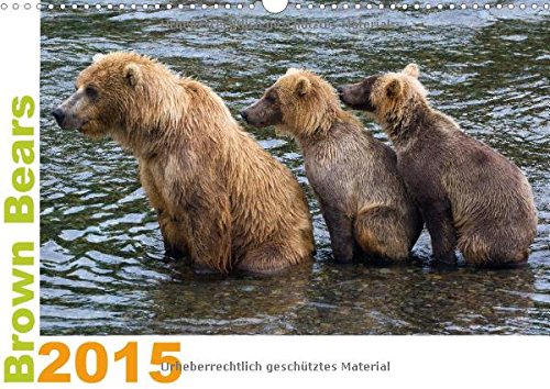 Brown Bears 2015 US-Version (Wall Calendar 2015 DIN A3 Landscape): Brown Bears - a shooting of a special kind (Monthly calendar, 14 pages) (CALVENDO Animals) Photography
