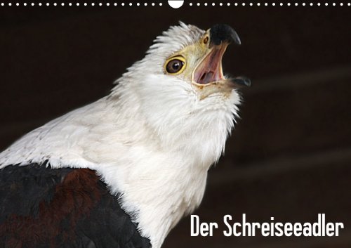 Der Schreiseeadler / AT-Version / Geburtstagskalender (Wandkalender 2015 DIN A3 quer): Der Schreiseeadler ist in ganz Afrika südlich der Sahara ... in Ufernähe. (Monatskalender, 14 Seiten) Lifestyle