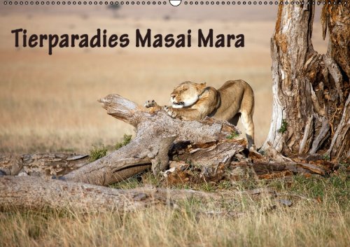 Tierparadies Masai Mara / AT-Version (Wandkalender 2015 DIN A2 quer): Nahaufnahmen von diversen Wildtieren in der Masai Mara - Kenia (Monatskalender, 14 Seiten) Leisure, Home & Garden