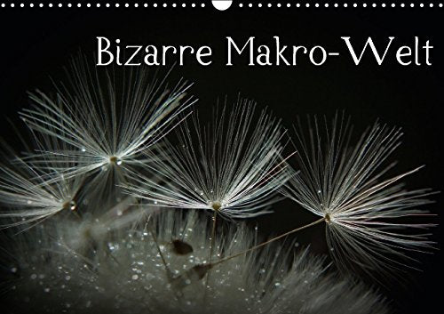 Bizarre Makro Welt Wandkalender 2015 D book