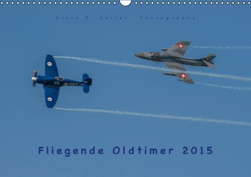 Fliegende Oldtimer 2015 (Wandkalender 2015 DIN A3 quer): Oldtimer Flugzeuge in Aktion (Monatskalender, 14 Seiten) (CALVENDO Technologie) Business & Technology