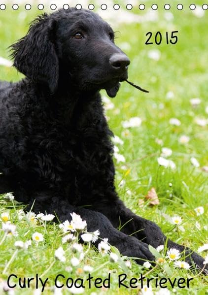 Curly Coated Retriever 2015 (Tischkalender 2015 DIN A5 hoch): 13 wunderschöne Bilder des Curly Coated Retriever von der Tierfotografin Vivian Kammholz (Monatskalender, 14 Seiten) (CALVENDO Tiere) Film, Art & Culture
