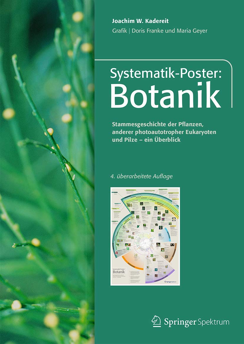 Systematik-Poster: Botanik: Stammesgeschichte der Pflanzen, anderer photoautothroper Eukrayoten und Pilze - ein Überblick Natural Sciences