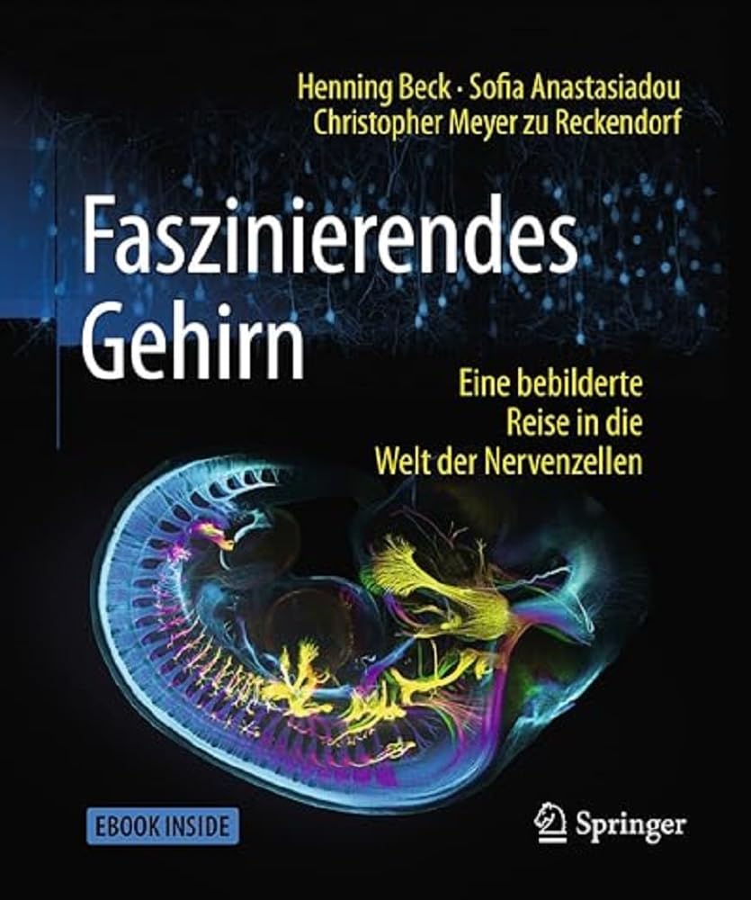 Faszinierendes Gehirn Medicine