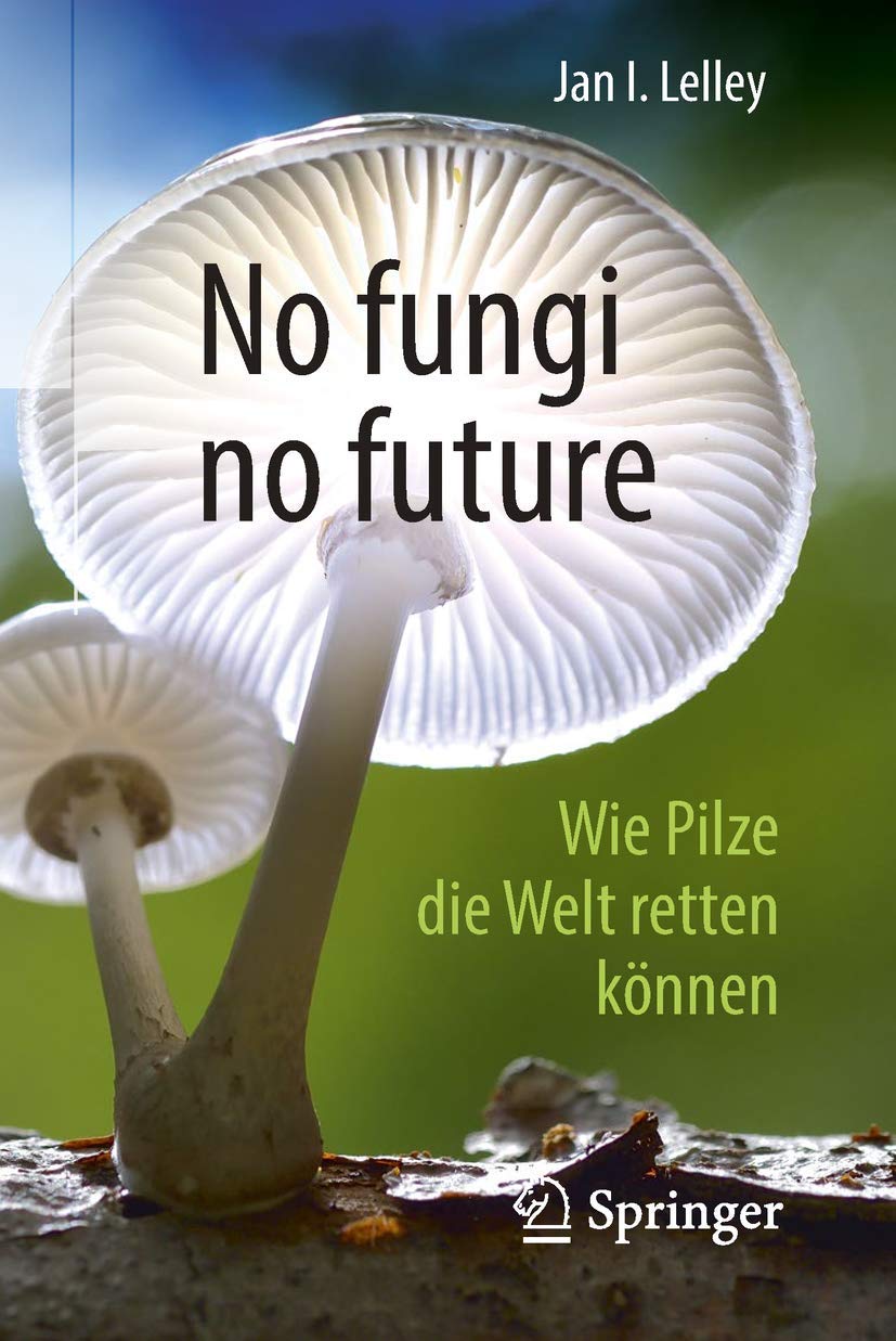 No fungi no future: Wie Pilze die Welt retten können Business & Technology